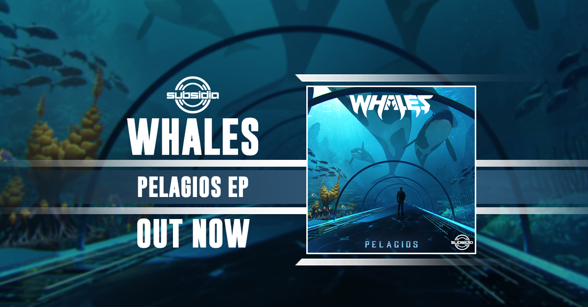 Whales Pelagios