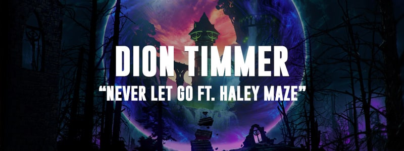 Dion Timmer – Never Let Go ft. Haley Maze Out Now!